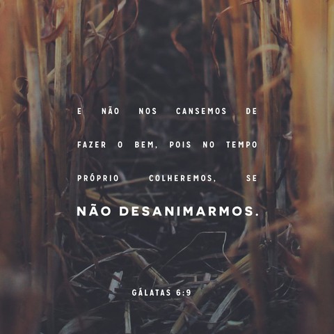 Fazer o bem