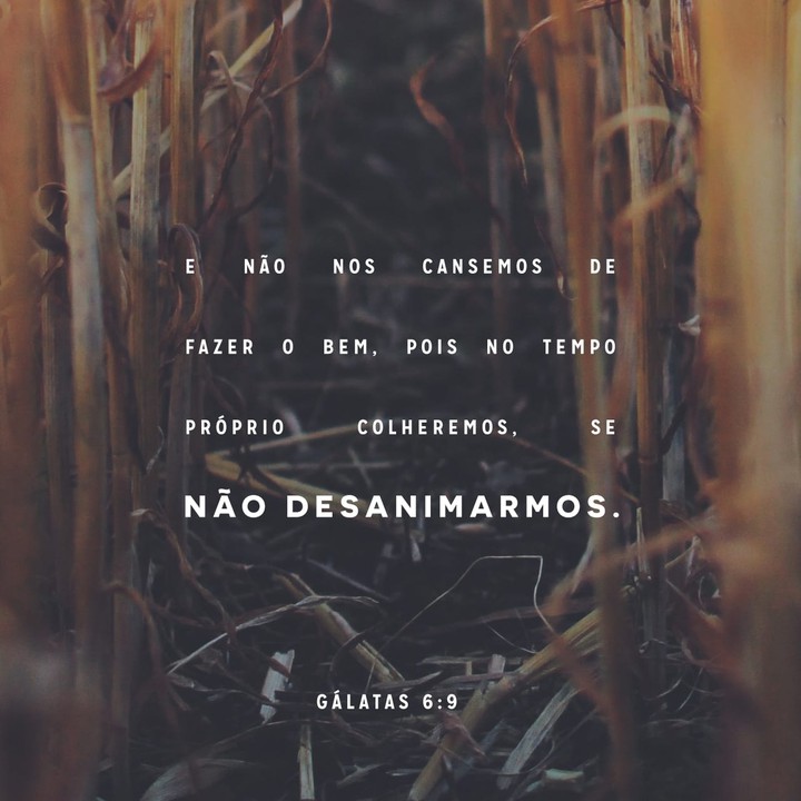 Fazer o bem