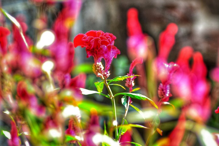 This photo I clicked at 11 o'clock