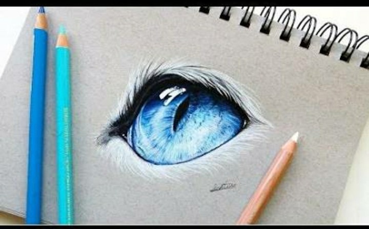 what a sketch!......