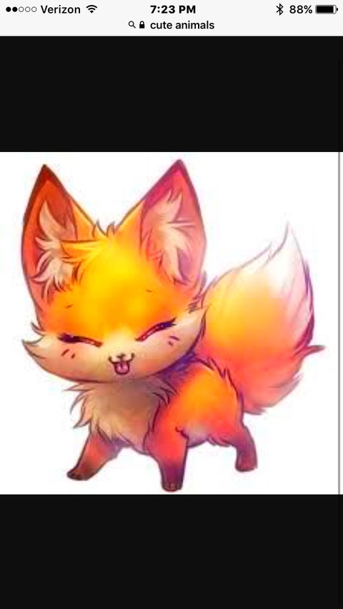 Little fox