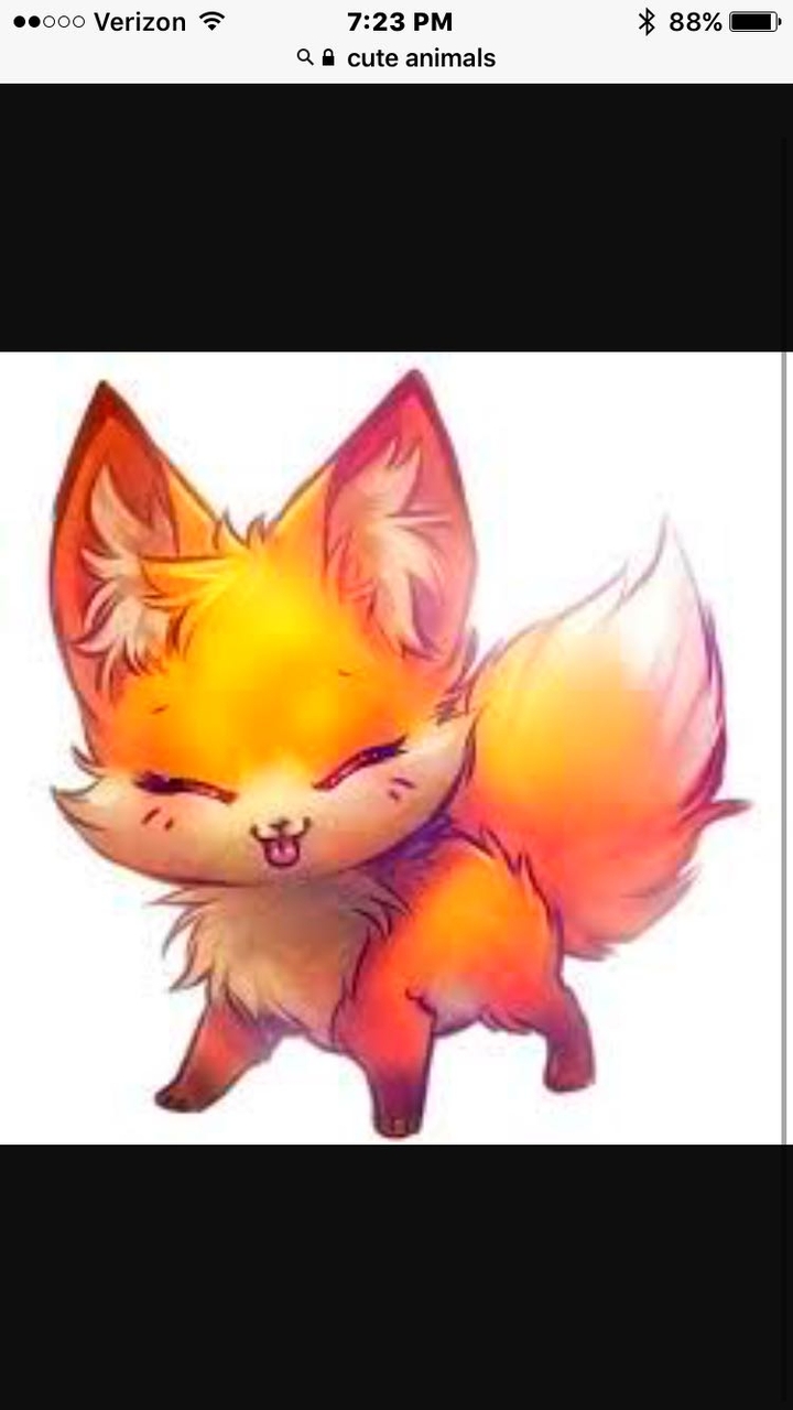 Little fox