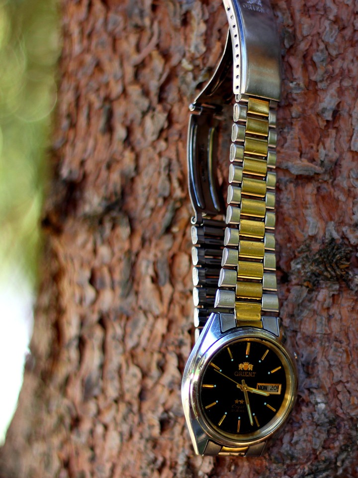 Wristlet Watch