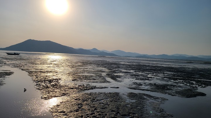 와온해변