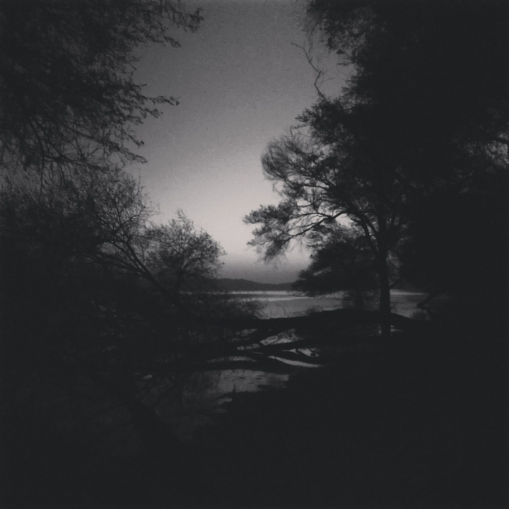 moonlight