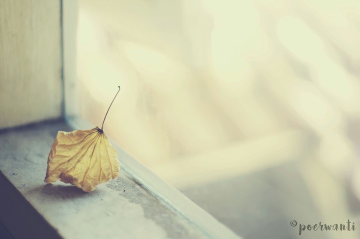 Hidden Beauty