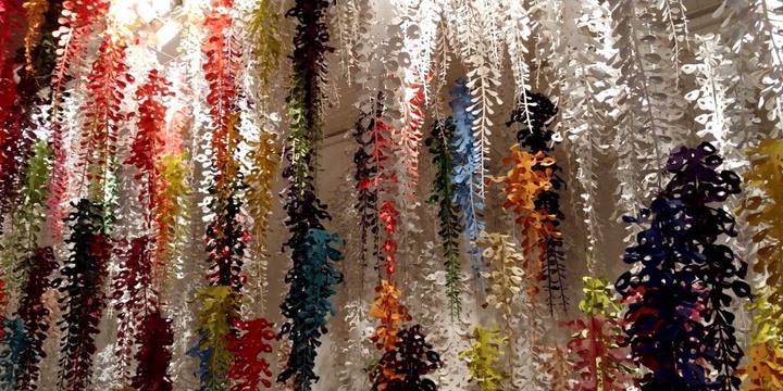 drops