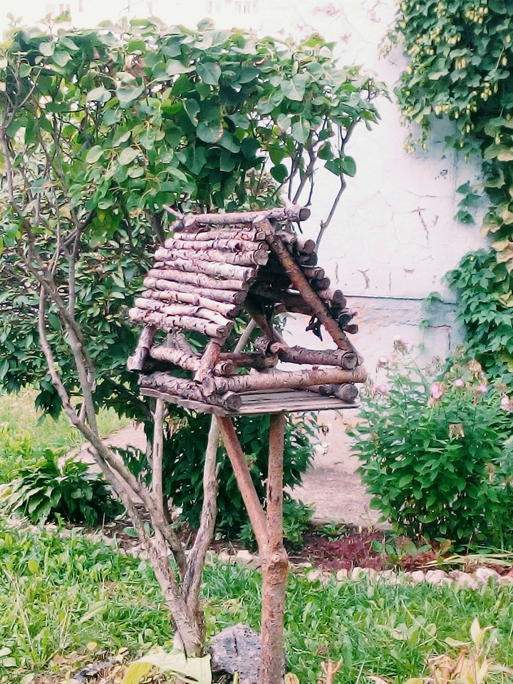кормушка для птиц