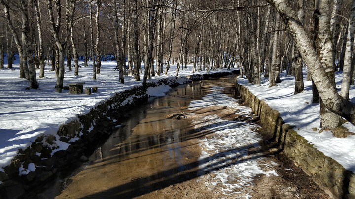 estrela serra