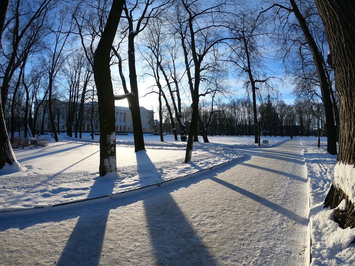 winter garden