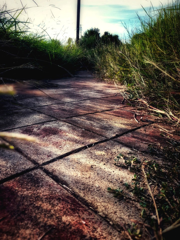 unfollowed path