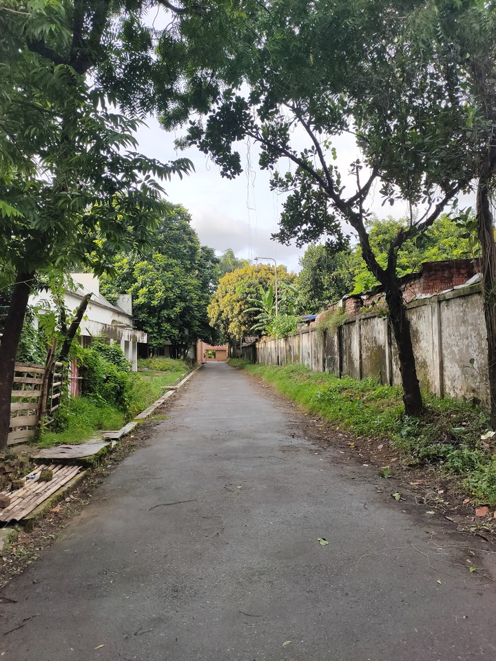 Lone path