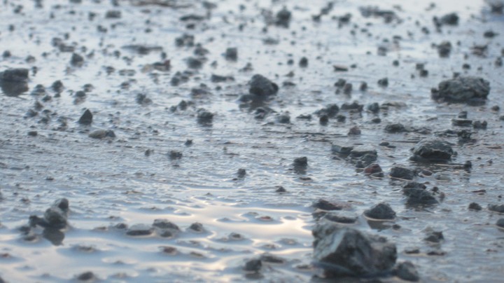 sea sight