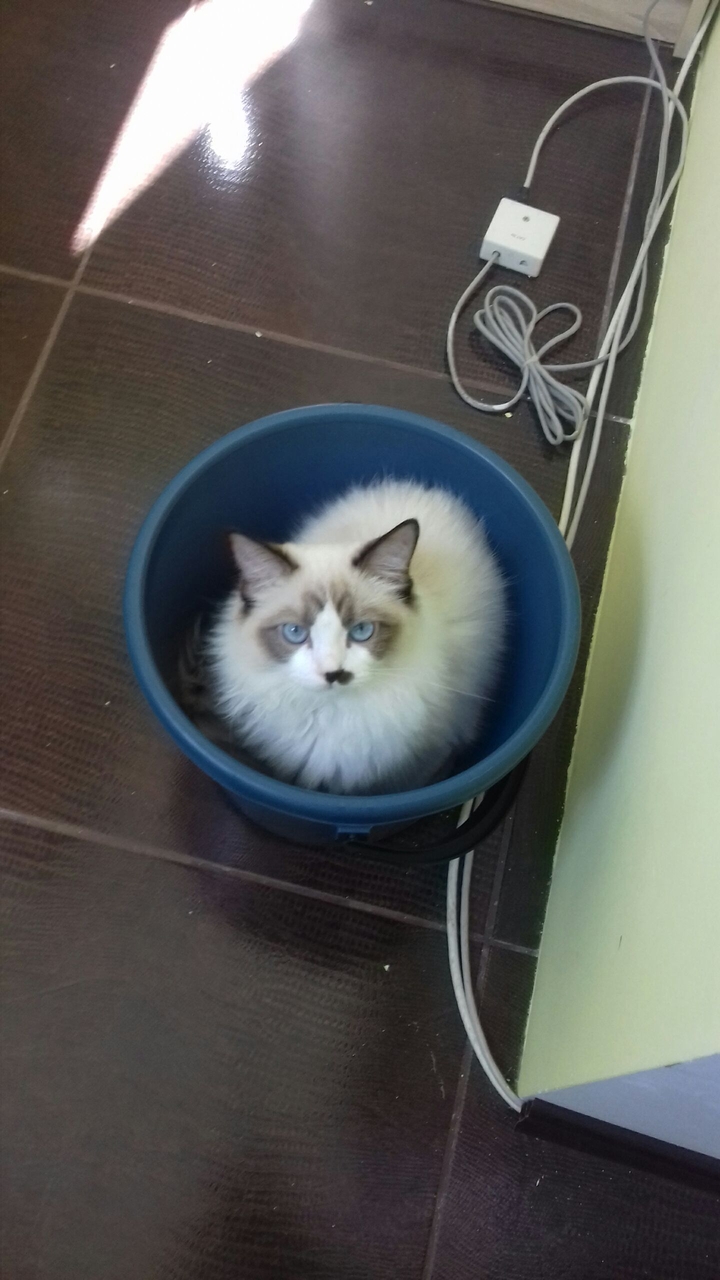 Isabel is sitting in a bucket