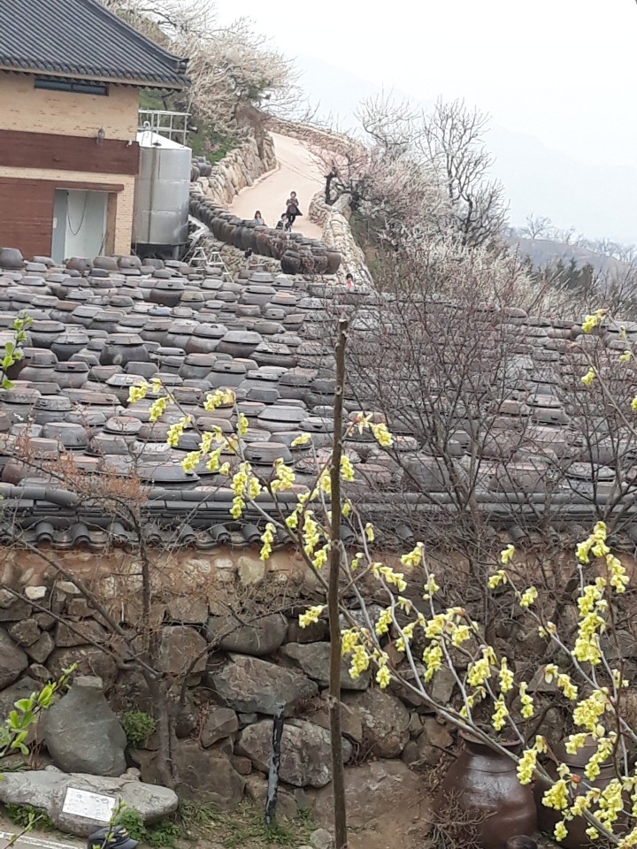 봄