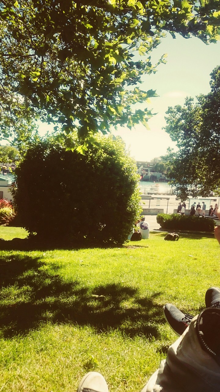 Chill