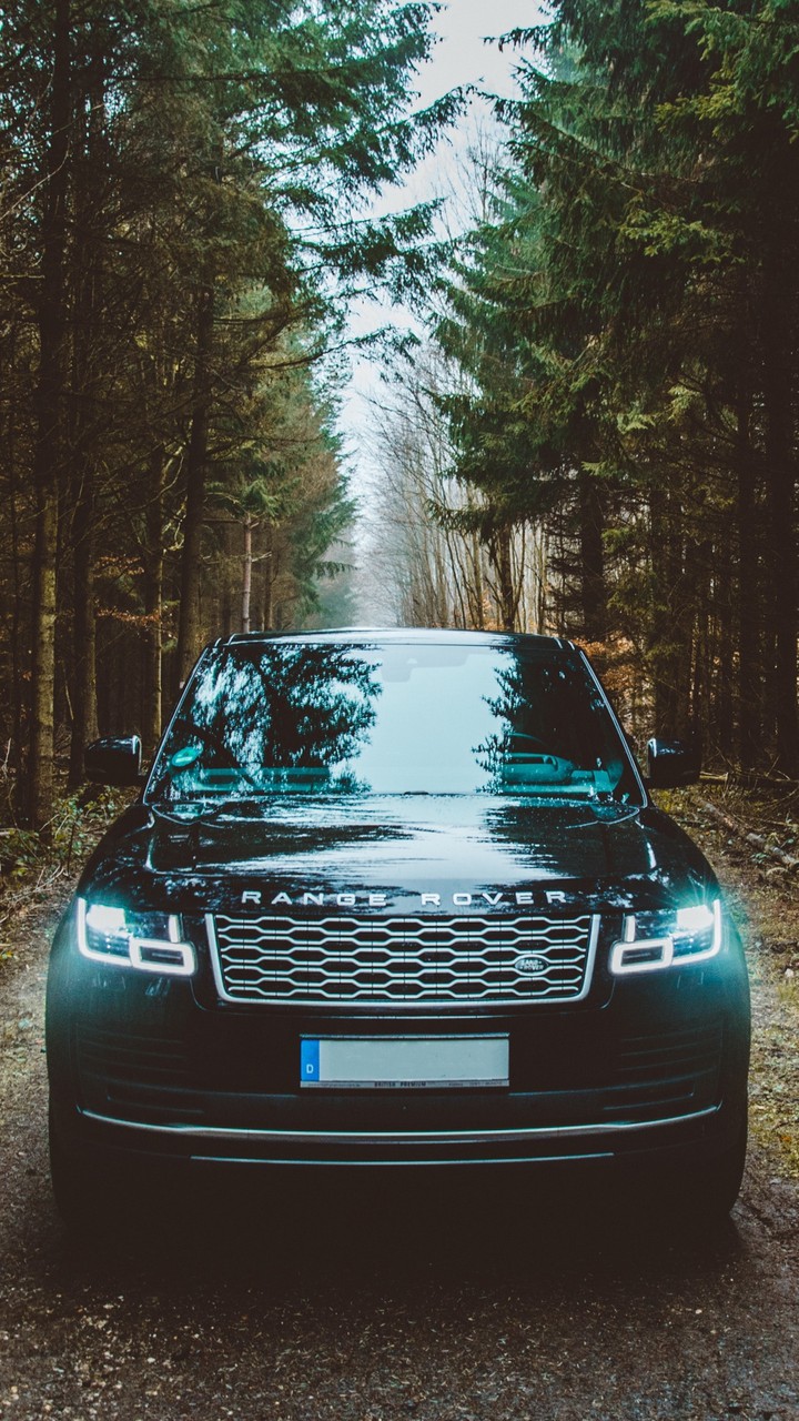 rang rover