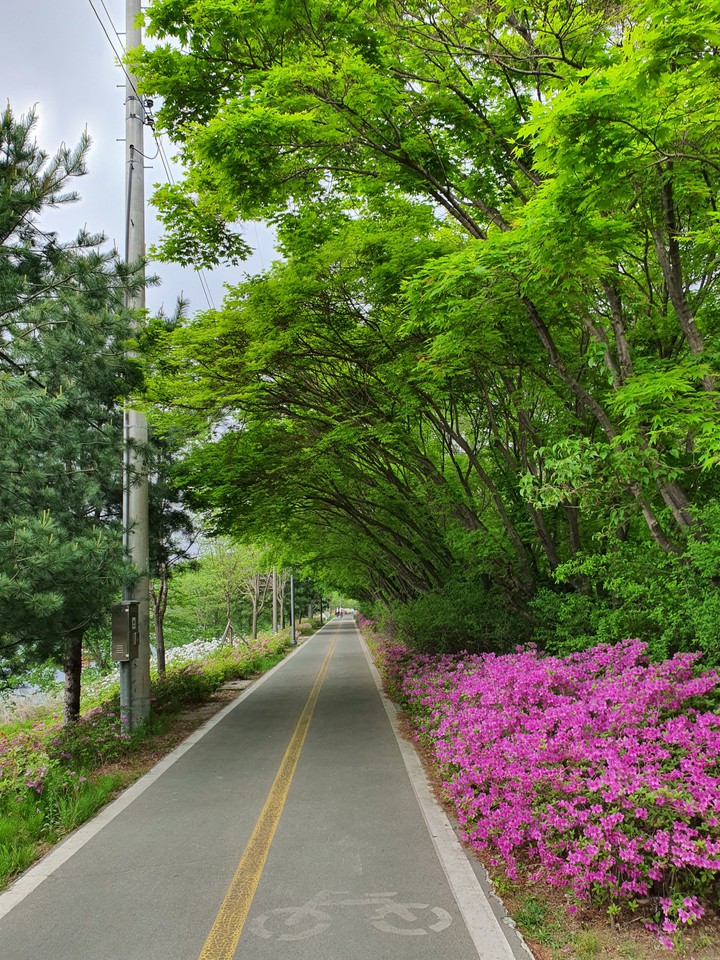 산책