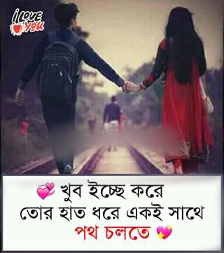 ❤❤❤❤❤❤