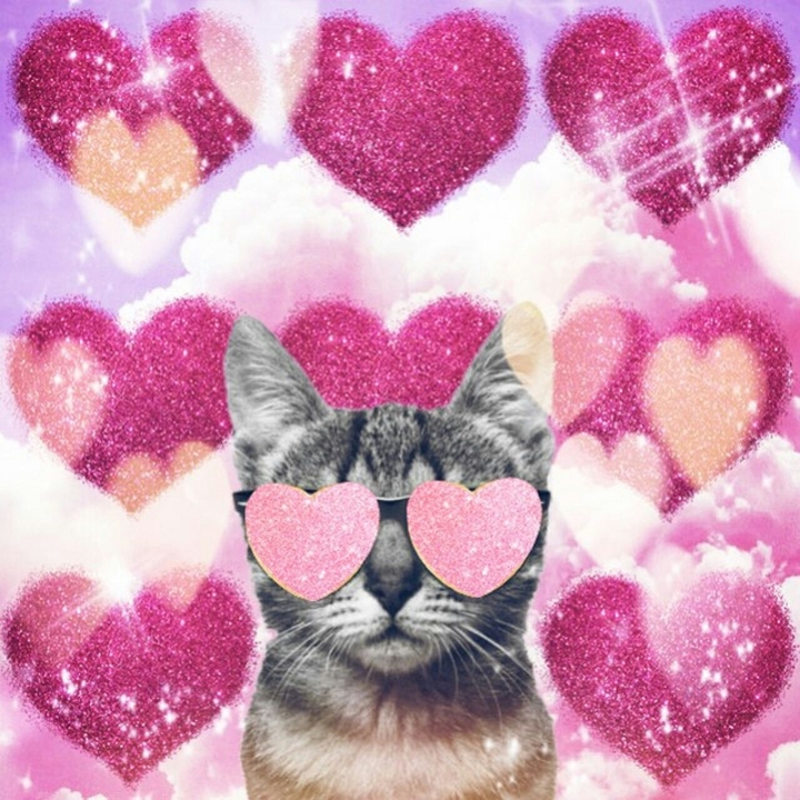 Cat is Love