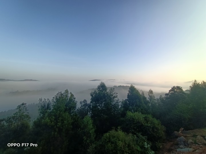 fog