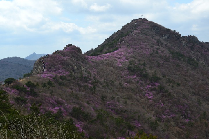 영취산이미지
