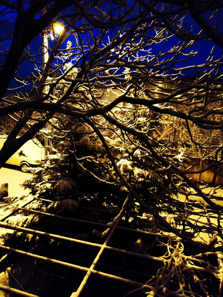 snow