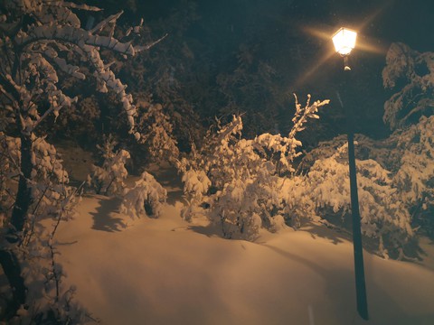 snow un the night