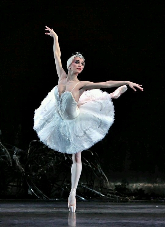 cisne Branco bailarina