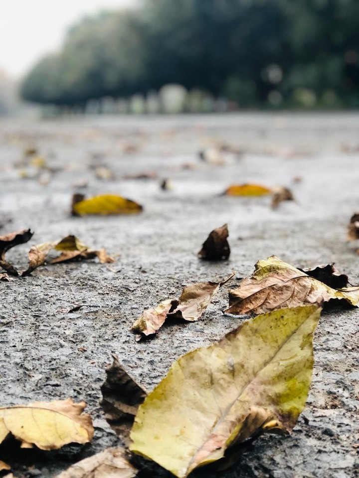 Autumn