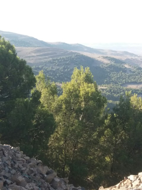 طبيعة