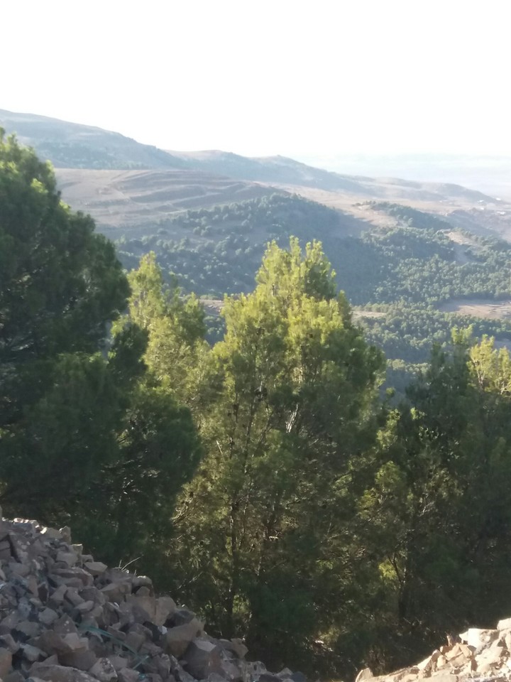 طبيعة