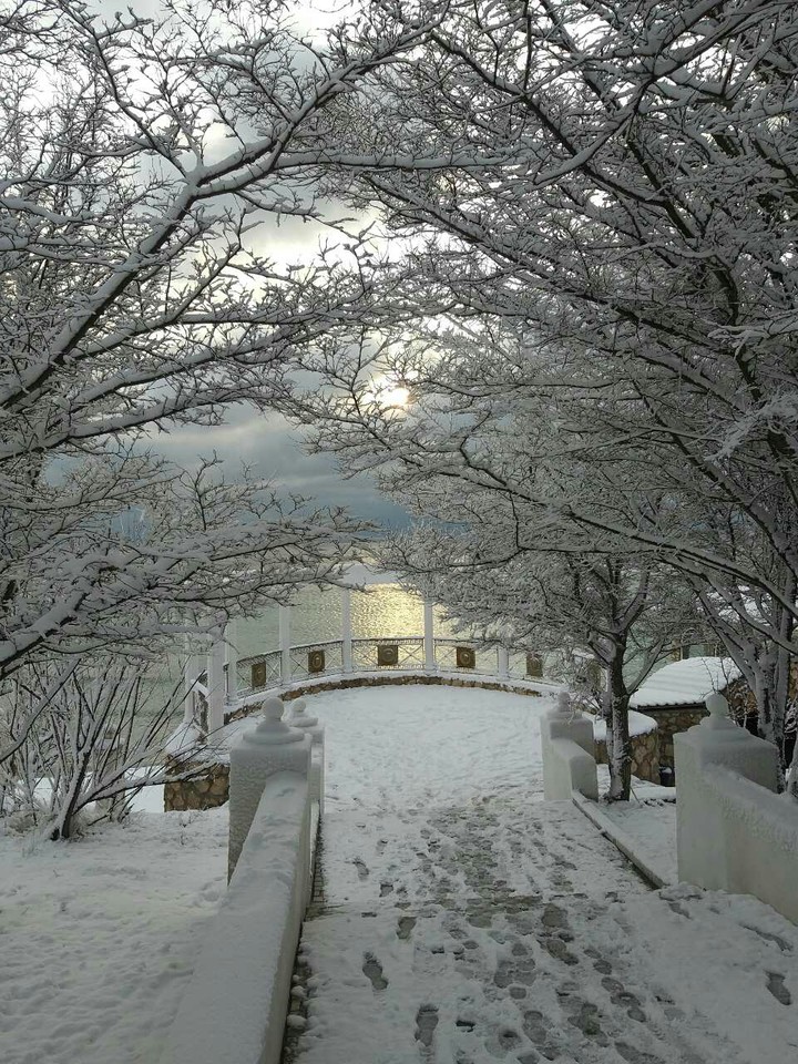 Winter 2019
