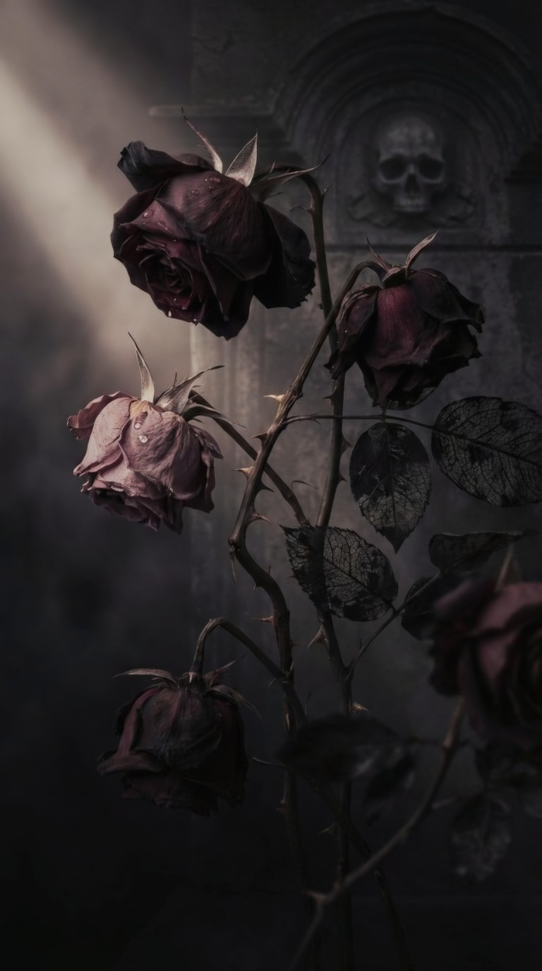 WITHERED ROSES