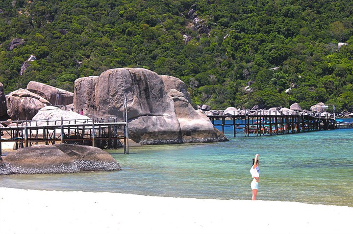 Ko Tao