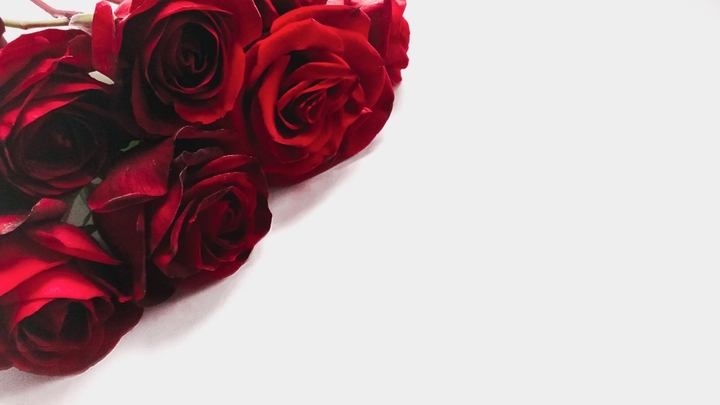 rose. part 2