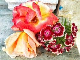 my first photo