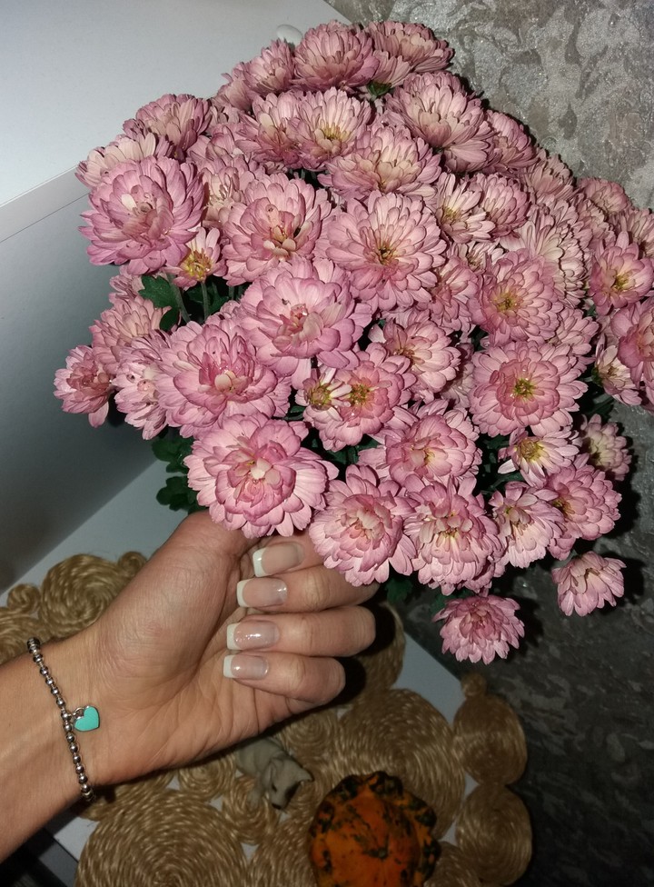 Хризантемы