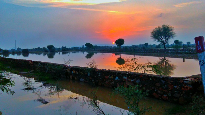 beauty of nature