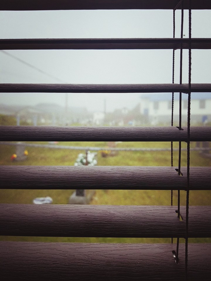 foggy morning