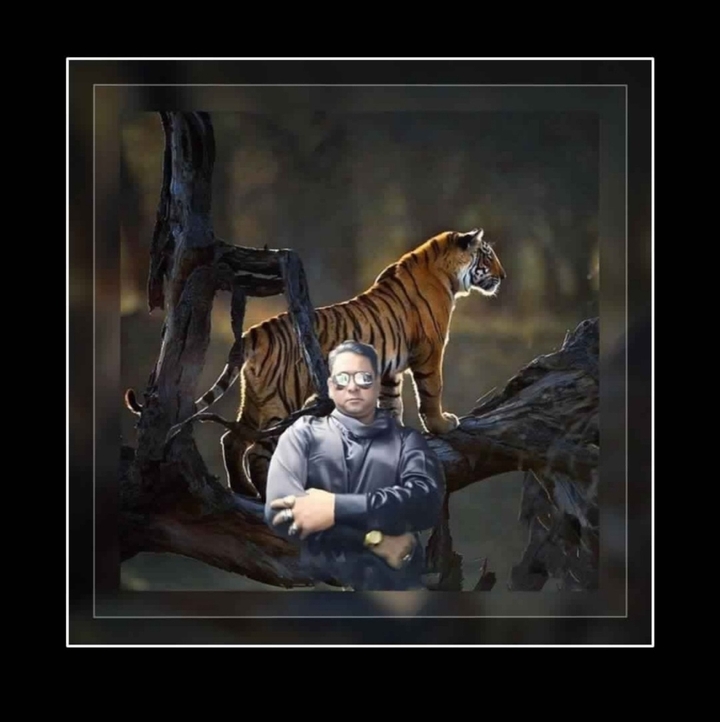 tiger