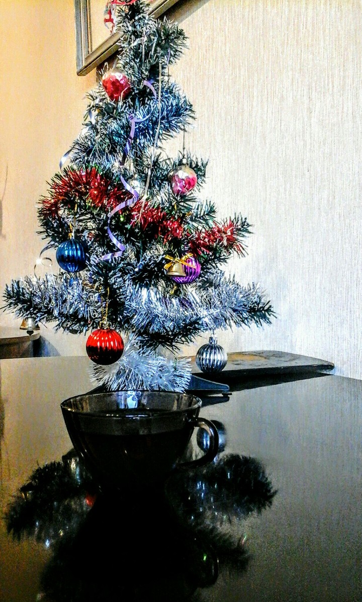 Tae under the christmas tree