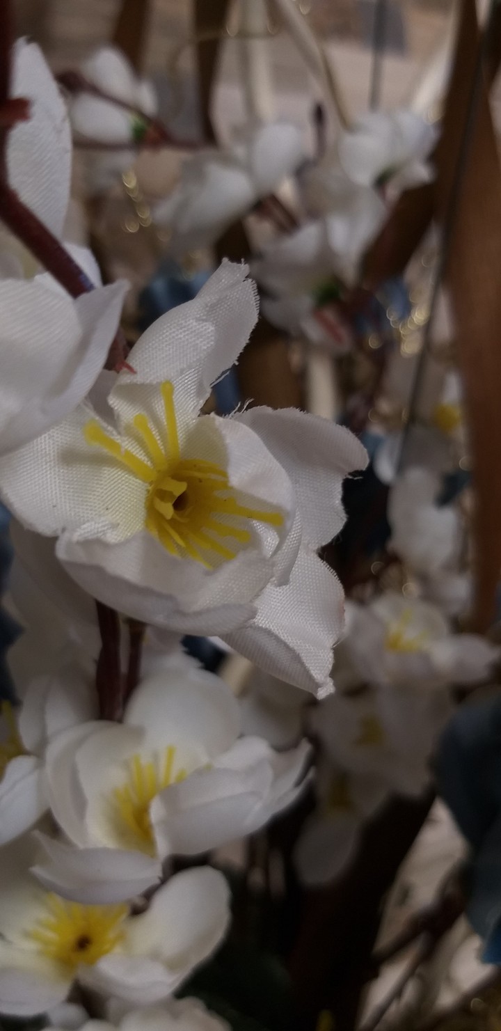 flowers in the loop