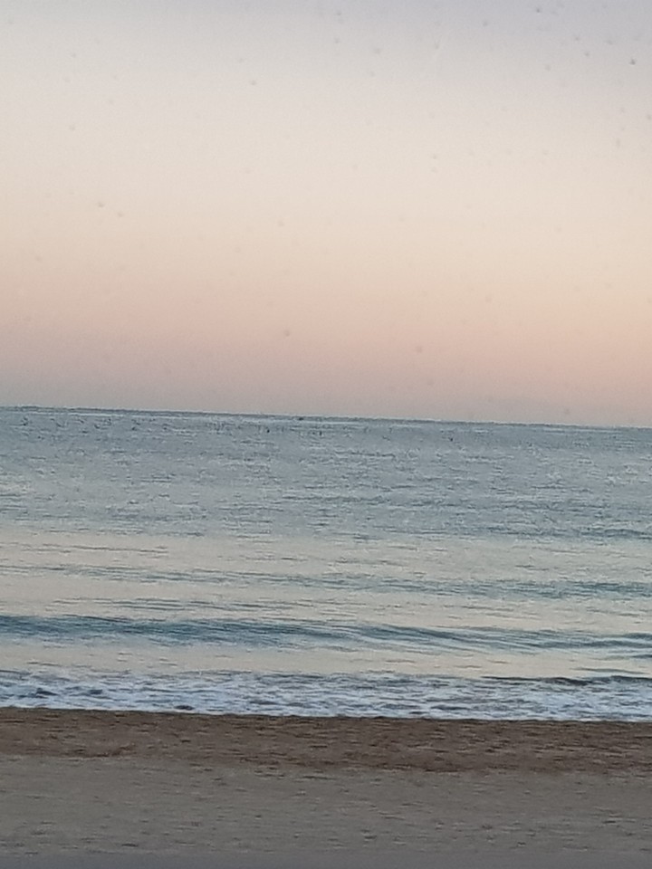 해운대