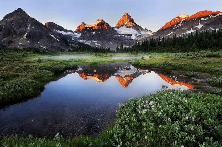 Nature's Beauty