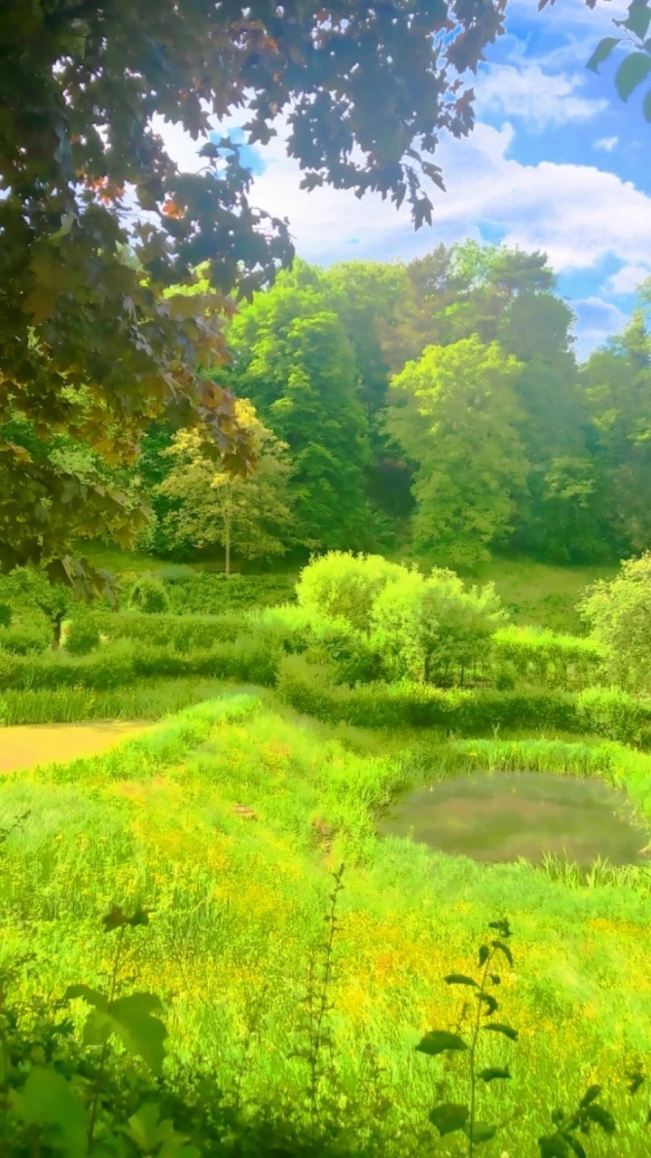 NATURE HAS IT ALL