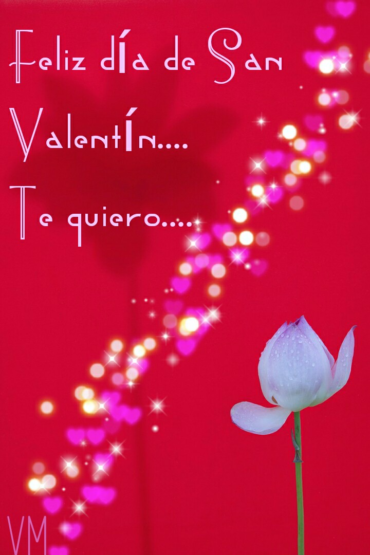 te quiero feliz día de San Valentín