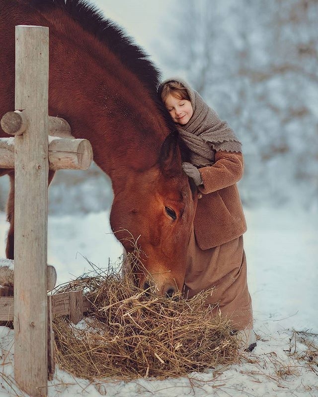 horse