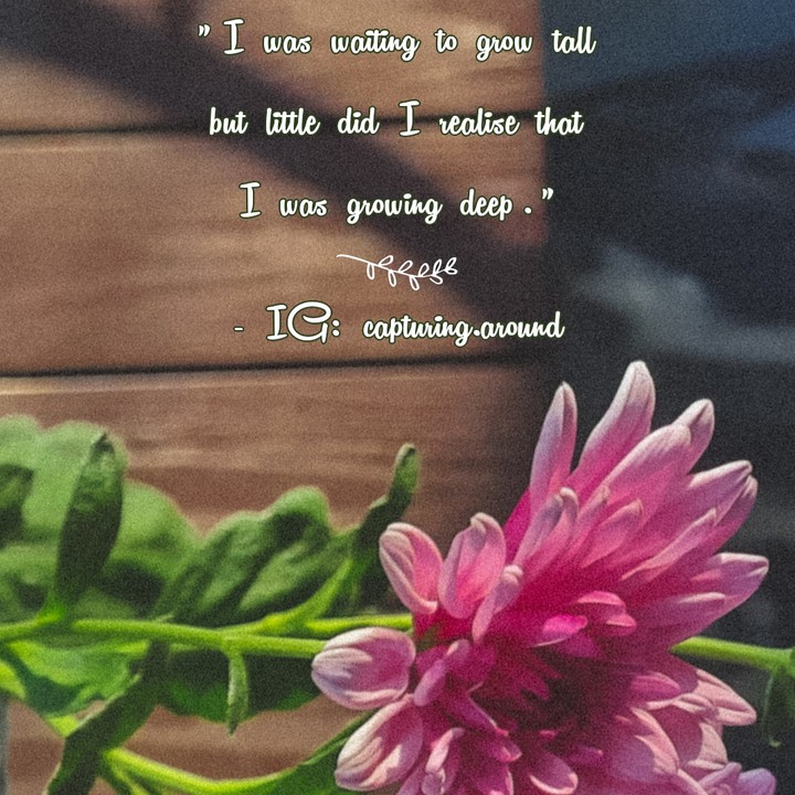 Quotes