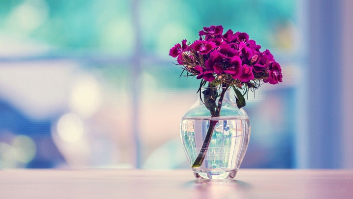 Flower love